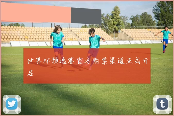 世界杯预选赛官方购票渠道正式开启