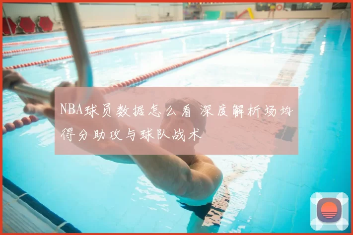 NBA球员数据怎么看 深度解析场均得分助攻与球队战术