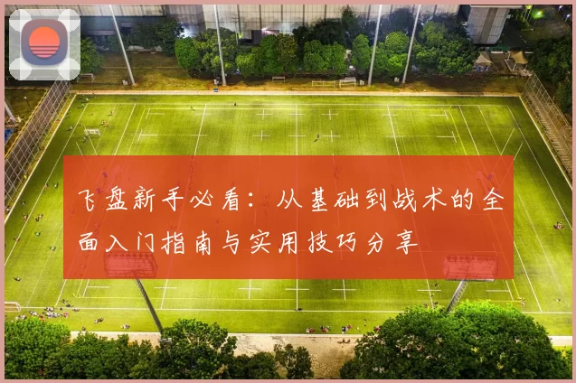 飞盘新手必看：从基础到战术的全面入门指南与实用技巧分享