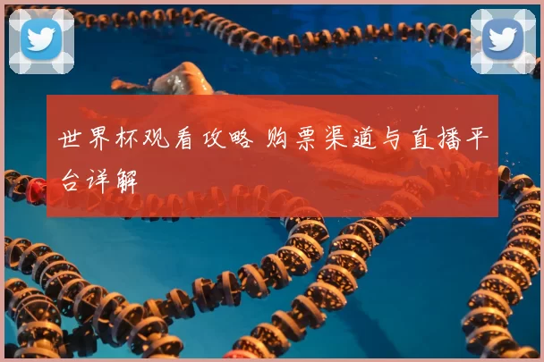 世界杯观看攻略 购票渠道与直播平台详解