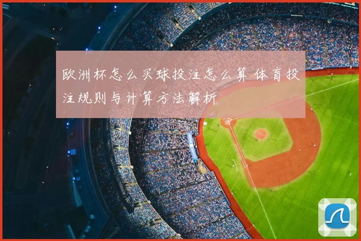 欧洲杯怎么买球投注怎么算 体育投注规则与计算方法解析