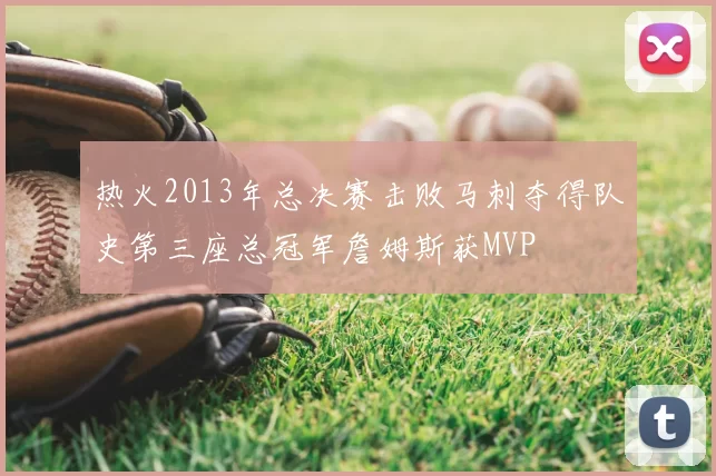 热火2013年总决赛击败马刺夺得队史第三座总冠军詹姆斯获MVP