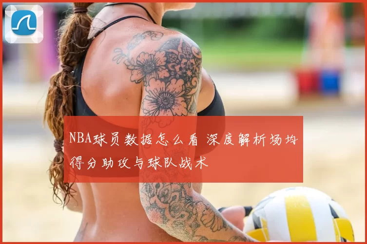 NBA球员数据怎么看 深度解析场均得分助攻与球队战术