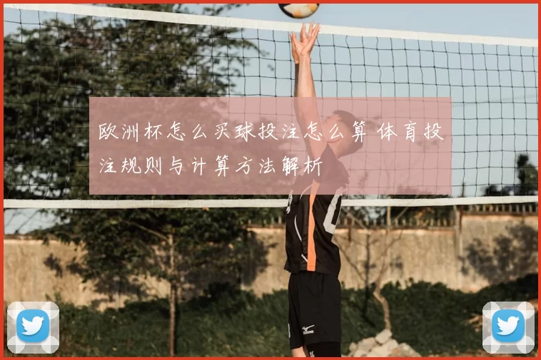 欧洲杯怎么买球投注怎么算 体育投注规则与计算方法解析
