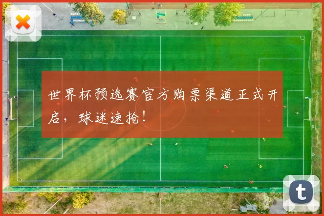 世界杯预选赛官方购票渠道正式开启，球迷速抢！