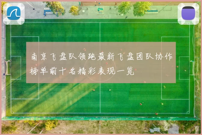 南京飞盘队领跑最新飞盘团队协作榜单前十名精彩表现一览