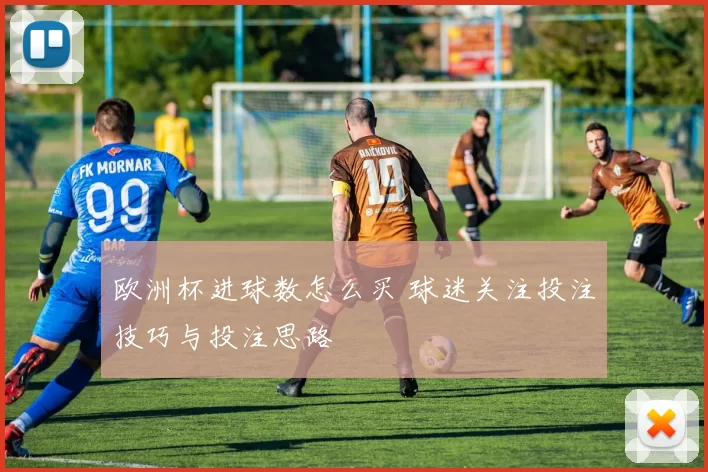 欧洲杯进球数怎么买 球迷关注投注技巧与投注思路
