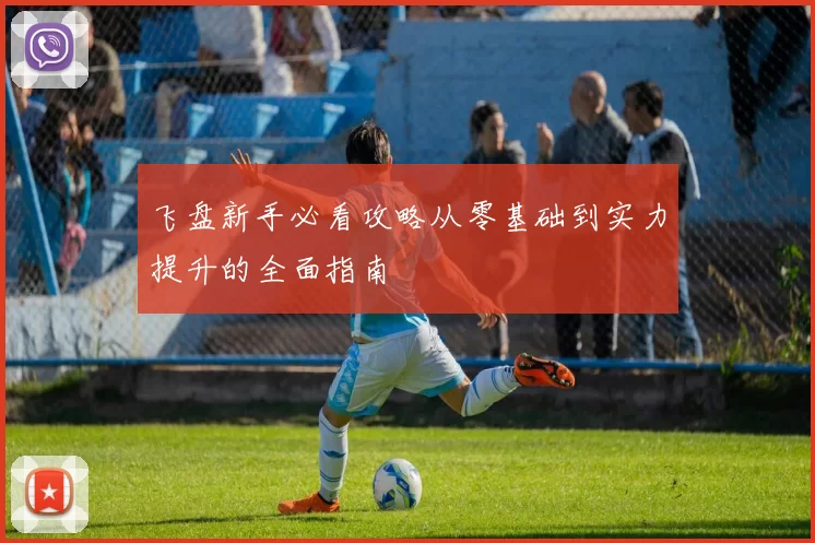 飞盘新手必看攻略从零基础到实力提升的全面指南