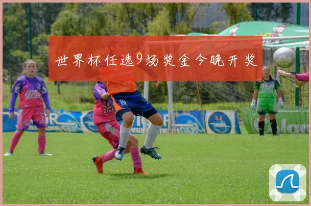 世界杯任选9场奖金今晚开奖